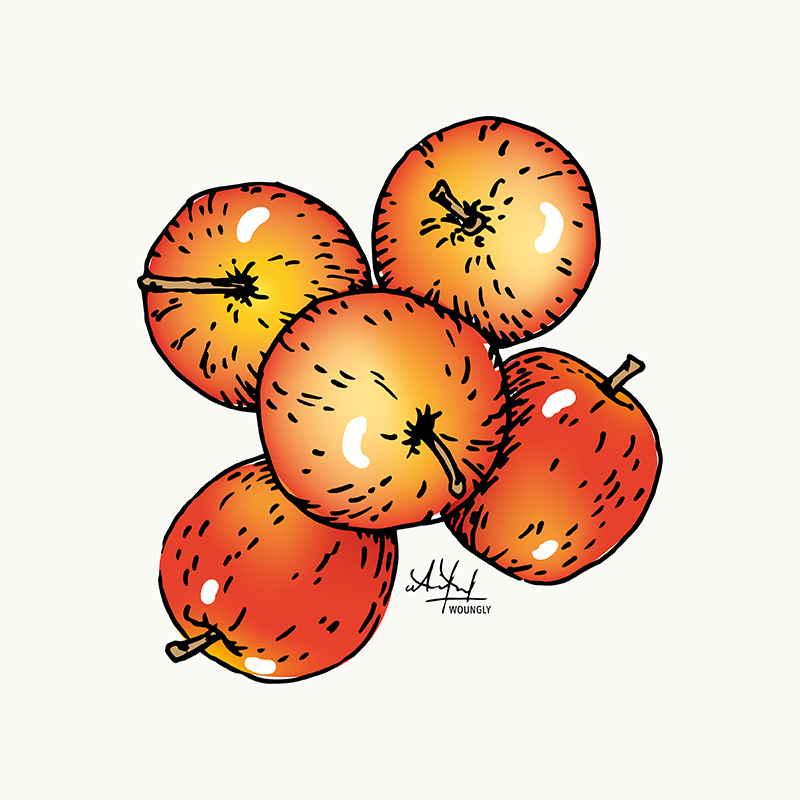 Annick Woungly. Illustrations. Recettes Quotidien Jurassien. 2019. Annick Woungly. Illustrations. Recettes Quotidien Jurassien. 2019.