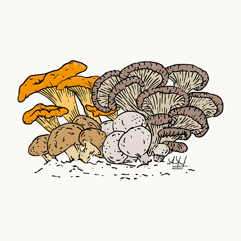 Annick Woungly. Illustrations. Recettes Quotidien Jurassien. 2020. Annick Woungly. Illustrations. Recettes Quotidien Jurassien. 2020.