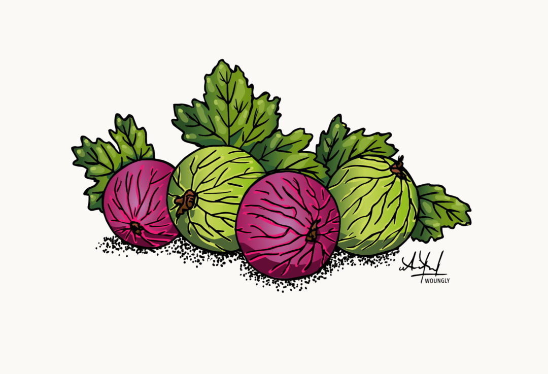Illustrations culinaires pour Le Quotidien Jurassien – 2022