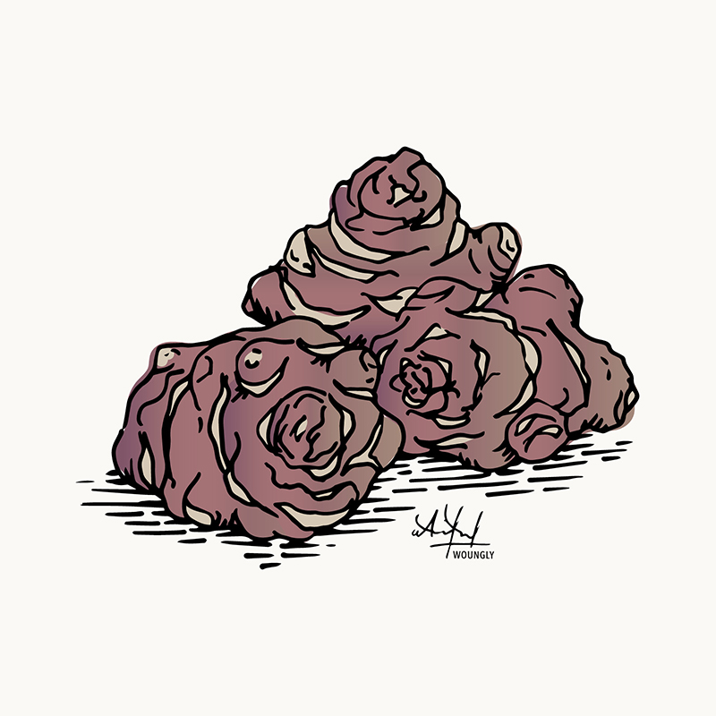 Annick Woungly. Illustrations. Recettes Quotidien Jurassien. 2022. Annick Woungly. Illustrations. Recettes Quotidien Jurassien. 2022.