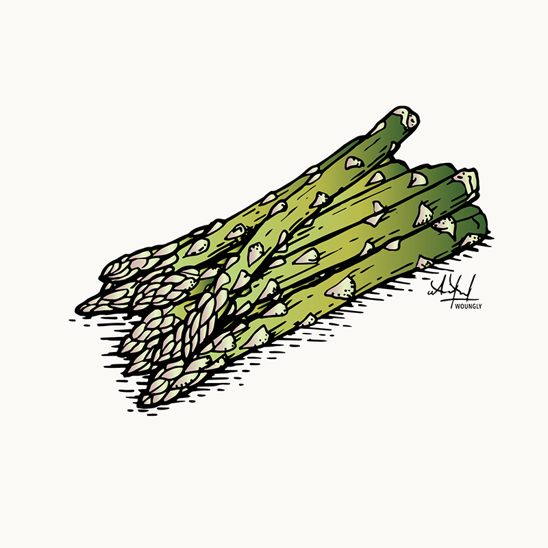 Annick Woungly. Illustrations. Recettes Quotidien Jurassien. 2022. Annick Woungly. Illustrations. Recettes Quotidien Jurassien. 2022.