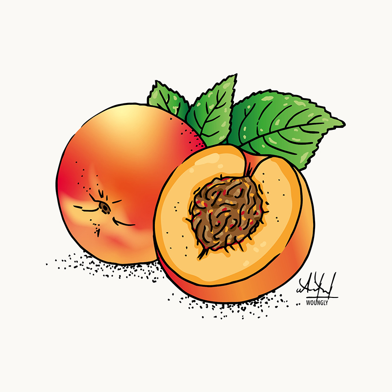 Annick Woungly. Illustrations. Recettes Quotidien Jurassien. 2023. Annick Woungly. Illustrations. Recettes Quotidien Jurassien. 2023.