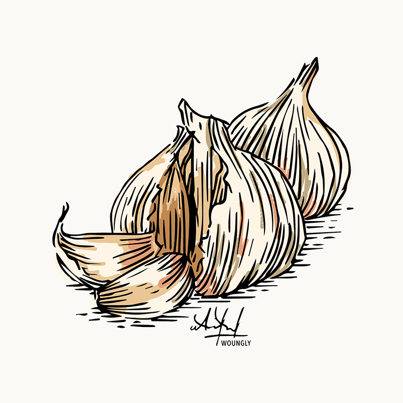 Annick Woungly. Illustrations. Recettes Quotidien Jurassien. 2023. Annick Woungly. Illustrations. Recettes Quotidien Jurassien. 2023.