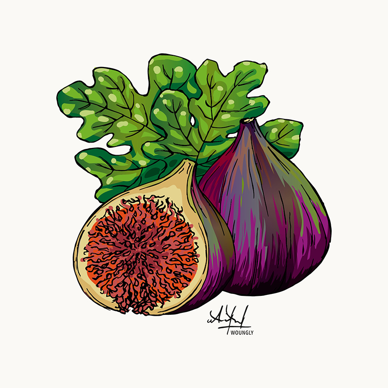 Annick Woungly. Illustrations. Recettes Quotidien Jurassien. 2023. Annick Woungly. Illustrations. Recettes Quotidien Jurassien. 2023.