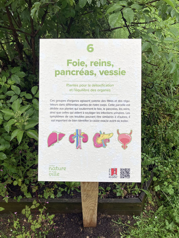 Design de panneaux explicatifs pour la Sentier Nature en Ville de Delémont. Annick Woungly.