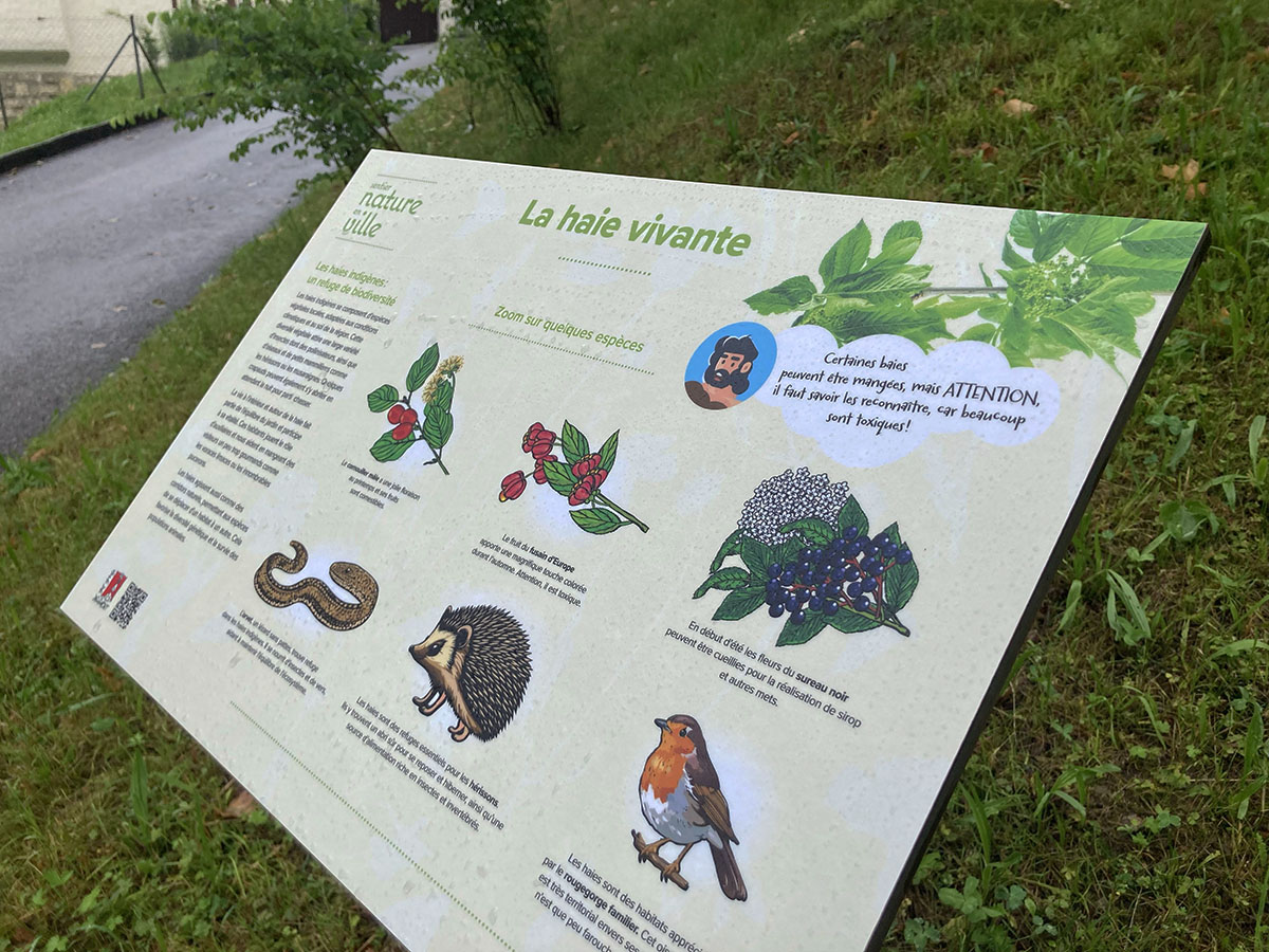 Design de panneaux explicatifs pour la Sentier Nature en Ville de Delémont. Annick Woungly.