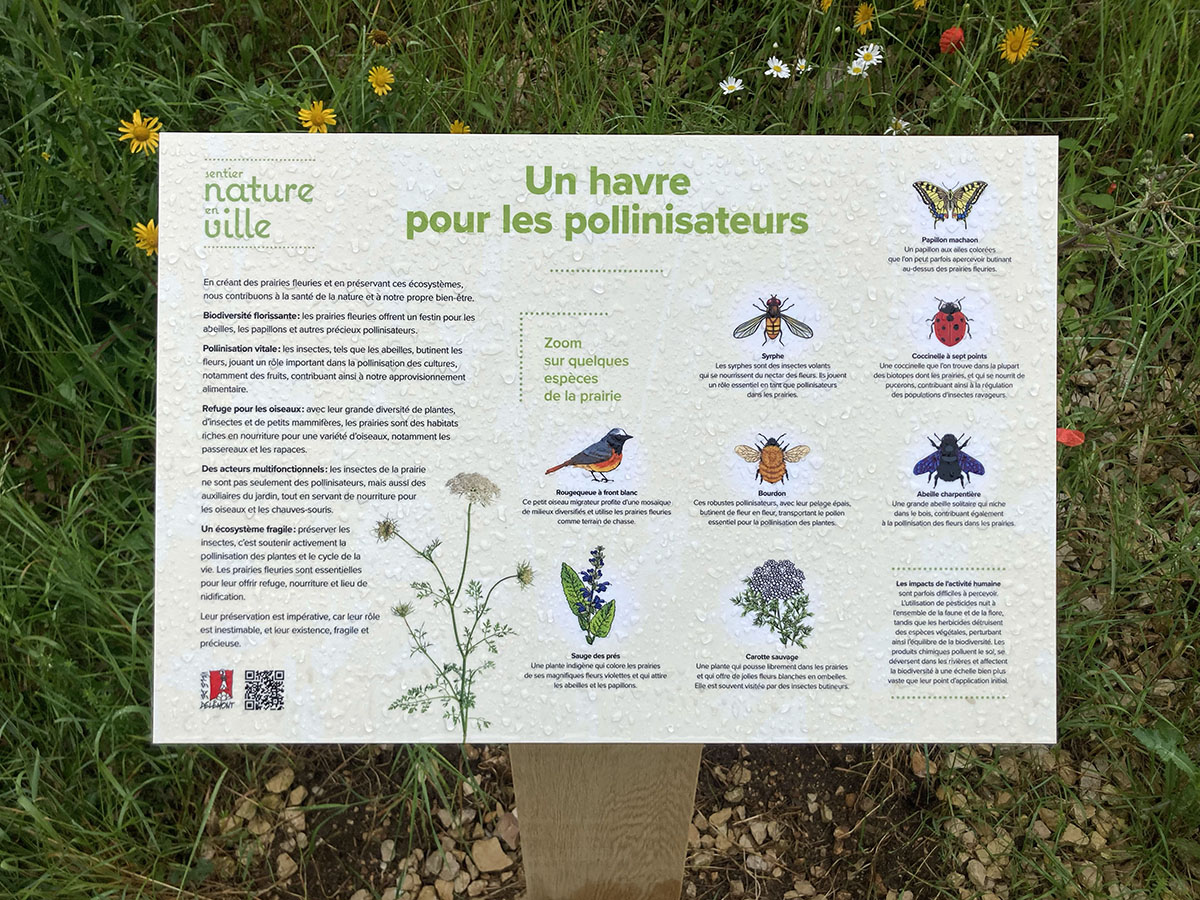 Design de panneaux explicatifs pour la Sentier Nature en Ville de Delémont. Annick Woungly.