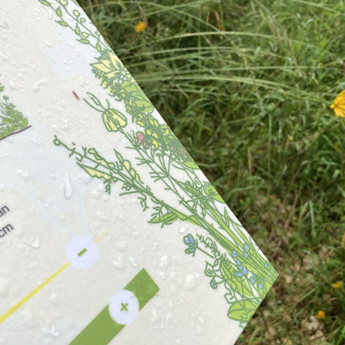 Design de panneaux explicatifs pour la Sentier Nature en Ville de Delémont. Annick Woungly.