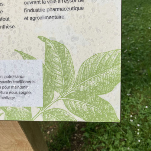 Design de panneaux explicatifs pour la Sentier Nature en Ville de Delémont. Annick Woungly.