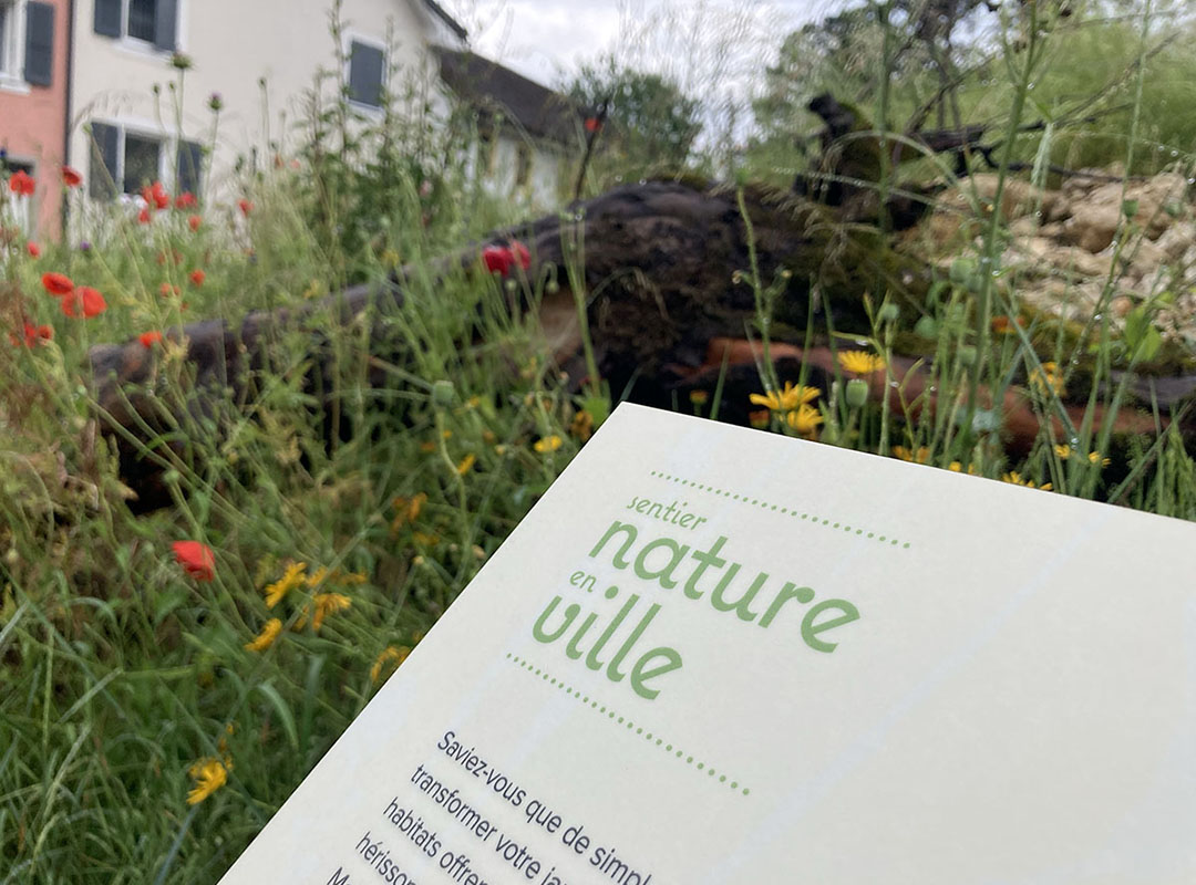 Design de panneaux explicatifs pour la Sentier Nature en Ville de Delémont. Annick Woungly.