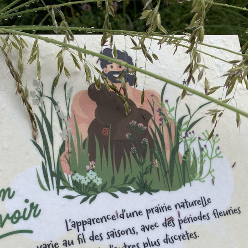 Design de panneaux explicatifs pour la Sentier Nature en Ville de Delémont. Annick Woungly. Détail du sauvage de Delémont.